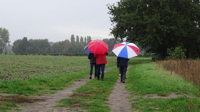 Nederland - HERFST …