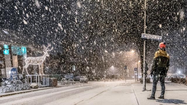 Nederland - WINTER …