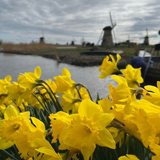 Nederland - LENTE K…