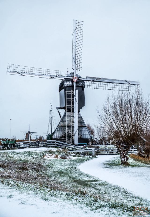 NEDERLAND - WINTER …