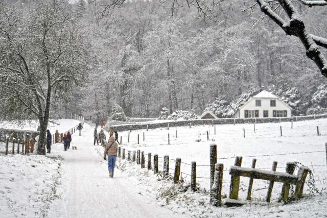 NEDERLAND - WINTER …