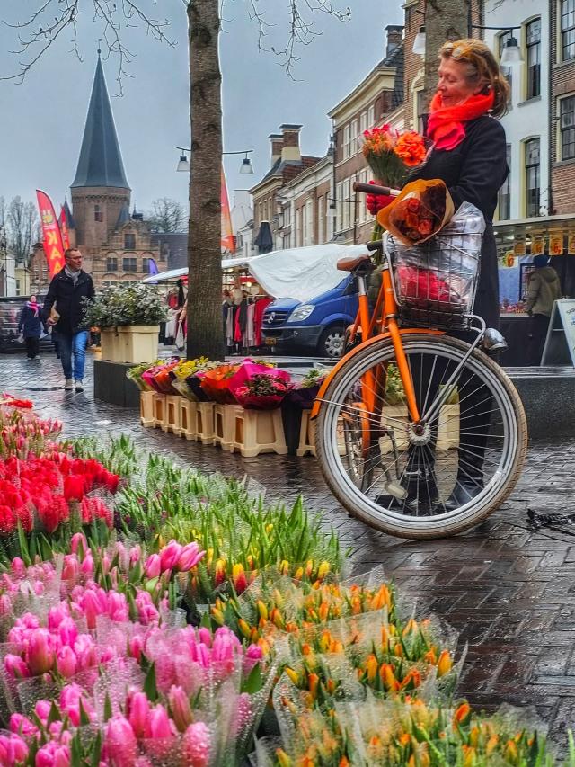 NEDERLAND - WINTER …