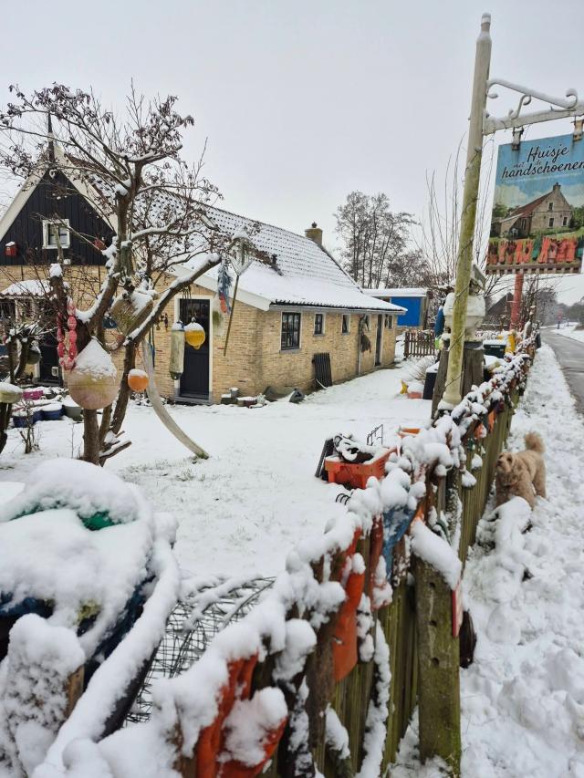 NEDERLAND - winter …