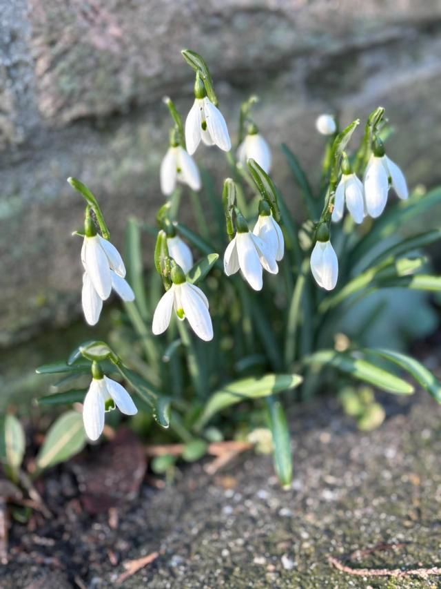 NEDERLAND - WINTER …