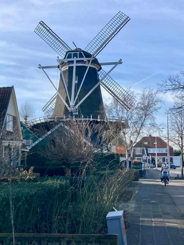 NEDERLAND - WINTER …