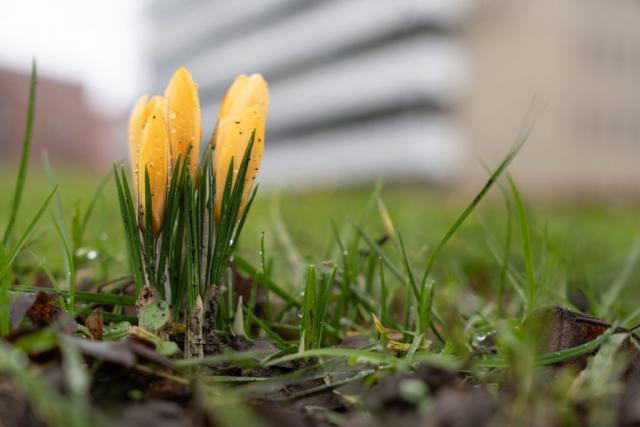 NEDERLAND - WINTER …