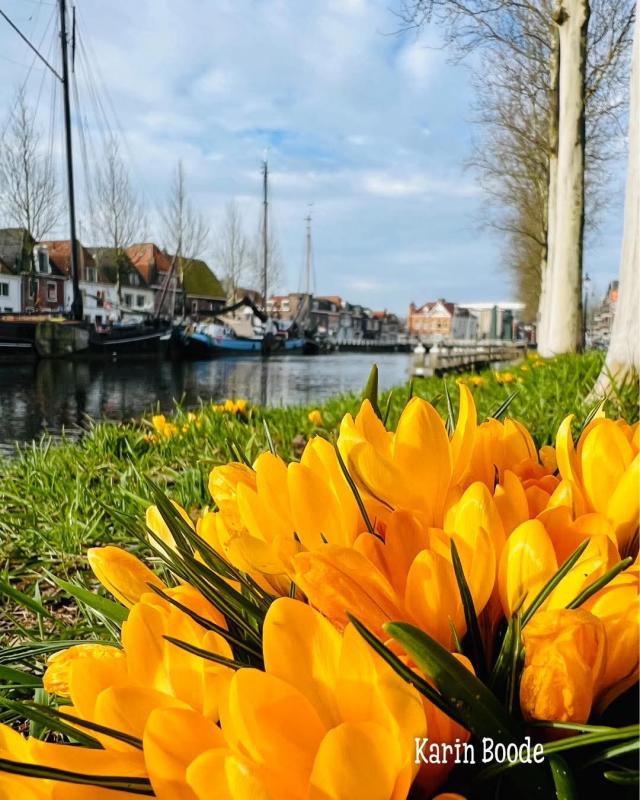 NEDERLAND - LENTE k…